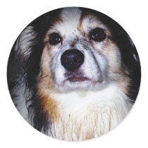 Dirty Digger Doggie Round Sticker