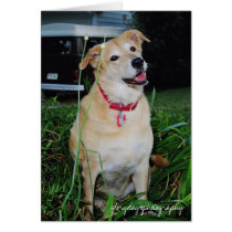 Dirty, glorydaysphotography cards