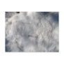 Dirty old Snow ~ postcard
