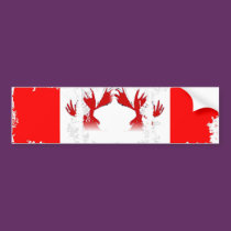 Dirty Photo Bumper Sticker bumper stickers