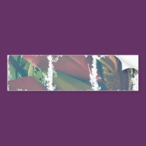Dirty Photo Bumper Sticker bumper stickers