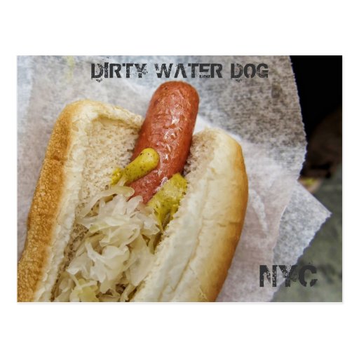 Dirty Water Dog NYC Postcard | Zazzle