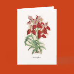 orchid, botanical, print, flora, tropical, exotic,