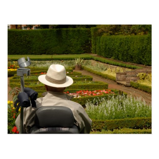 Disabled man in wheelchair in garden postcards