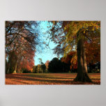 Disappear Canvas & poster Print