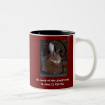 Disapproving Rabbits Mug 2 mugs