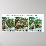 Discipline Posters