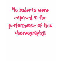 Disclaimer t-shirts