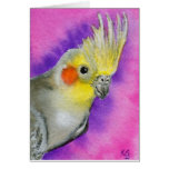 Disco Cockatiel Cards