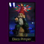 Disco Gnome