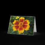 Disco Marigold Blank Card