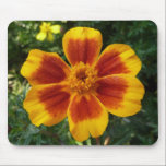 Disco Marigold Mousepad