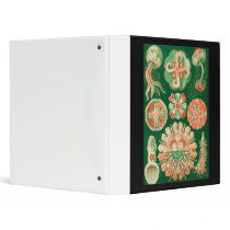 Discomedusae 3 Ring Binders