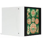 Discomedusae 3 Ring Binders