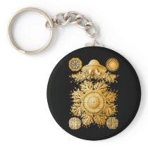 Discomedusae Keychain
