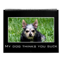 Discouragement Customizable Month & Year 2012 Calendars