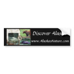 Discover Alaska Bumper Sticker