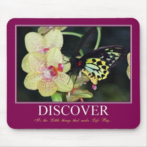 Discover Mouse Pads