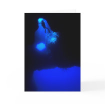Discover the Undiscovered cards by mlamutt Discover the Undiscovered cards