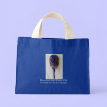 Discovered Spirit Project 2010Covena... bags
