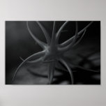 Discreet posters