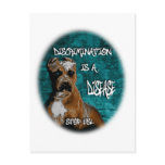 Discrimination is a Disease, Pitbull Anti BSL Post Card