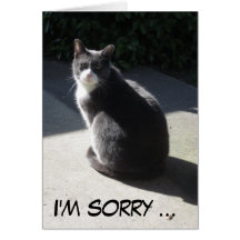 Disculpa de Morty Tarjeta