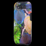 Discus Aquarium casemate cases