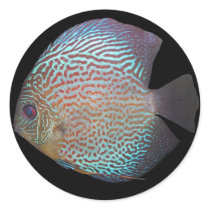 discus sticker