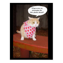Disgruntled Model Post Cards