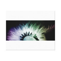Dishevelled Gallery Wrapped Canvas