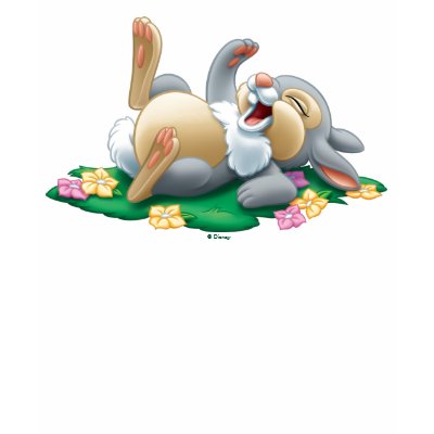Disney Bambi Thumper t shirts