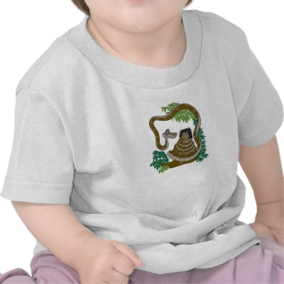 Disney Jungle Book Kaa with Mowgli t-shirts