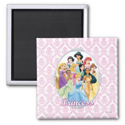 Disney Princesses 11 magnets