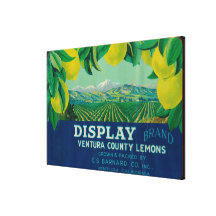 Display Lemon LabelVentura, CA Gallery Wrap Canvas