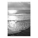 Disquietude posters