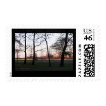 distant deer postage