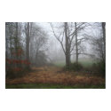 Distant Fog posters
