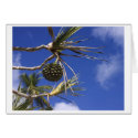 distant palm cards