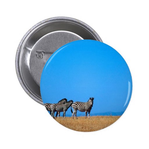Distant Zebras Pinback Button