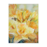 Distilled Sunlight Post Card