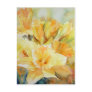 Distilled Sunlight Post Card
