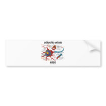 Distracted Nerves Inside (Synapse) Bumper Stickers