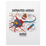 Distracted Nerves Inside (Synapse) letterhead