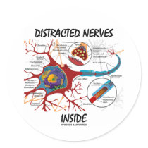 Distracted Nerves Inside (Synapse) Round Stickers