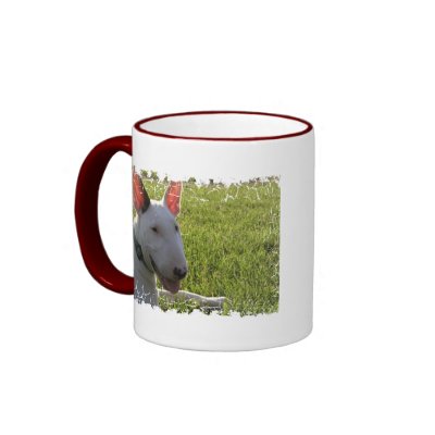 Distressed Border - 2-sided Ringer Mug by bterrier