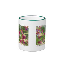 Distressed Border 2-sided Ringer Mug