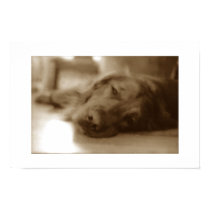 distressed doggy posters by concretecandy distressed doggy posters