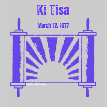 Distressed Lt Purple Sunrise Torah - Customized t-shirts