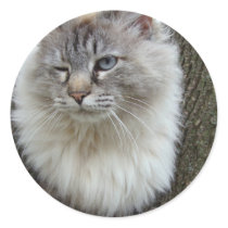 Distressed Round Stickers